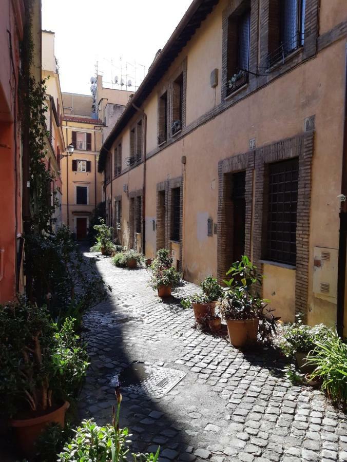 Domus De Ciancaleoni *