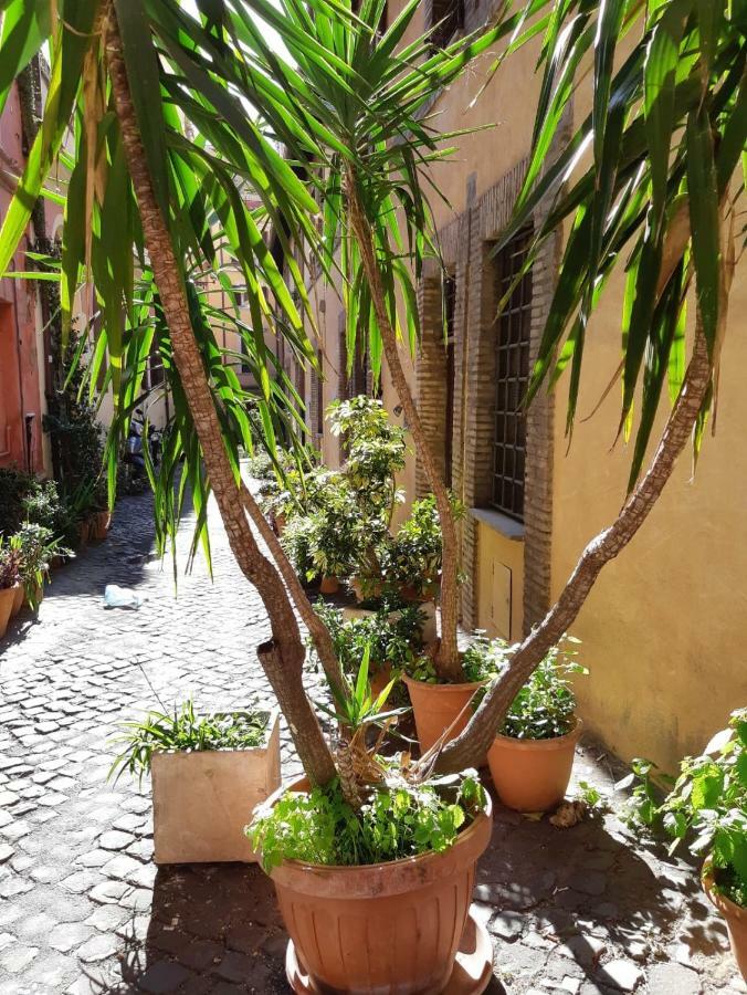 Casa vacanze Domus De Ciancaleoni Roma