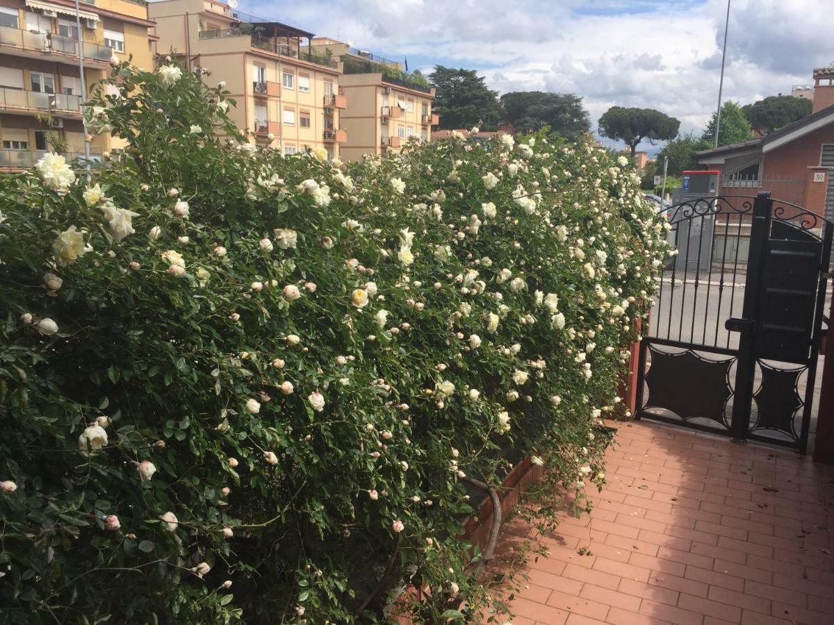 Il Villino Verde Roma