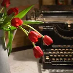 Lovely Writer Home