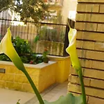 Il Gelsomino