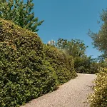 Domus Quiritum Villa