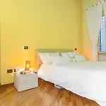 Trevi Colour- Rental In Rome