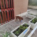 Top Apartment Roma 2