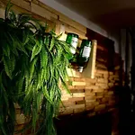 Moroni Trastevere Cozy Apartment