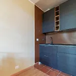 Roomy&Cozy Apartment With Shared Terrace