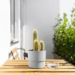 Appartamento Moderno ed Elegante con Balcone
