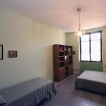 Sacconi Flat