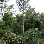Cassia Home
