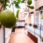 Gemelli Peaceful Apartment