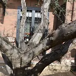 La Casetta Di Borghesiana