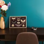 Colosseo Cozy Rooms B&B