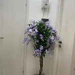 Robin Suites