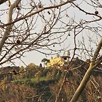 Vatican Prestige - Meospiti Cesare Exclusive
