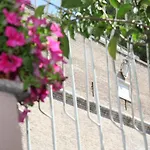Vaticano84