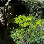 LOQUAT HOUSE nel giardino segreto in zona Vaticano