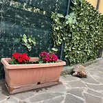 Appiolatino - Il Fenicottero