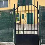 Appiolatino - Il Fenicottero