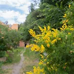 La Casa Di Nonna Peppina A Trastevere