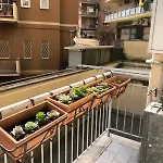 L\'Angolo Di San Pietro