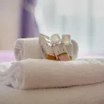 Domus Premuda