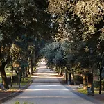 Sonder Barberini
