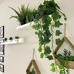 Capuanshome-Intero Appartamento