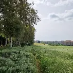 La Stanza Degli Abeti Blu