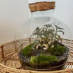 Appartamento A Piazza Di Spagna