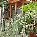 L\'attico di Val.