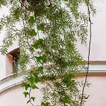 Trevi Fountain Stylish Guest House