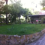 Aristocarli