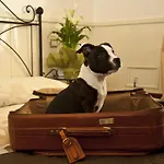 Le Suite Di Via Ottaviano - Suite In Rome B&B