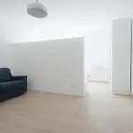 Meme Suite