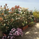 Terrazza Fiorita