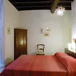 Palomba 3000
