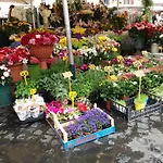 Campofiori