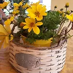 Flowery House