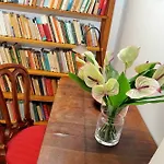 Romeasyoulike-Monti Experience 295