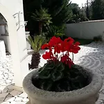 Villa Romana