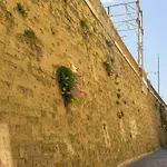 San Lorenzo Home