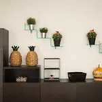 Lovely New Apartament, Viale Trastevere