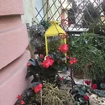 Residenza Il Magnifico Guest House
