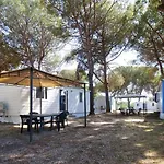 Aurelia Club