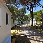 Aurelia Club