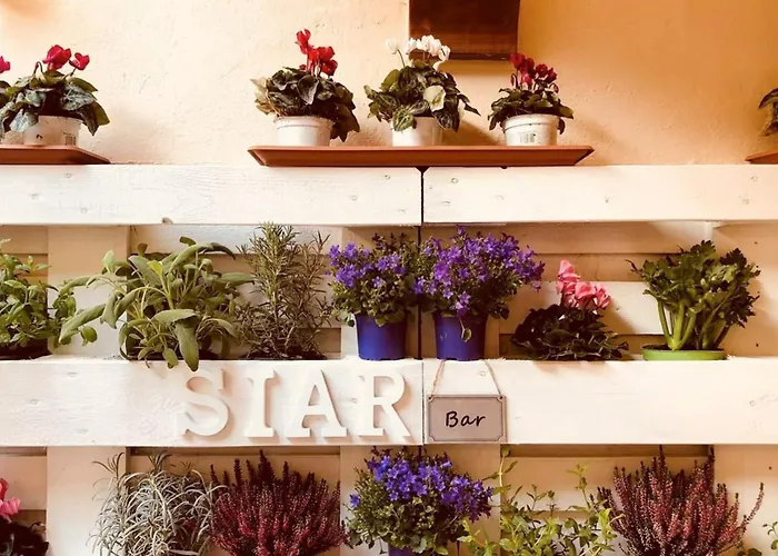 Loft Torlonia