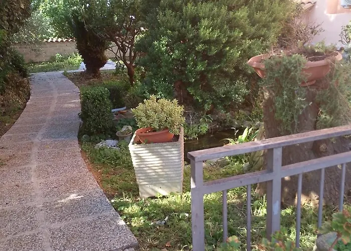 Domus Dora