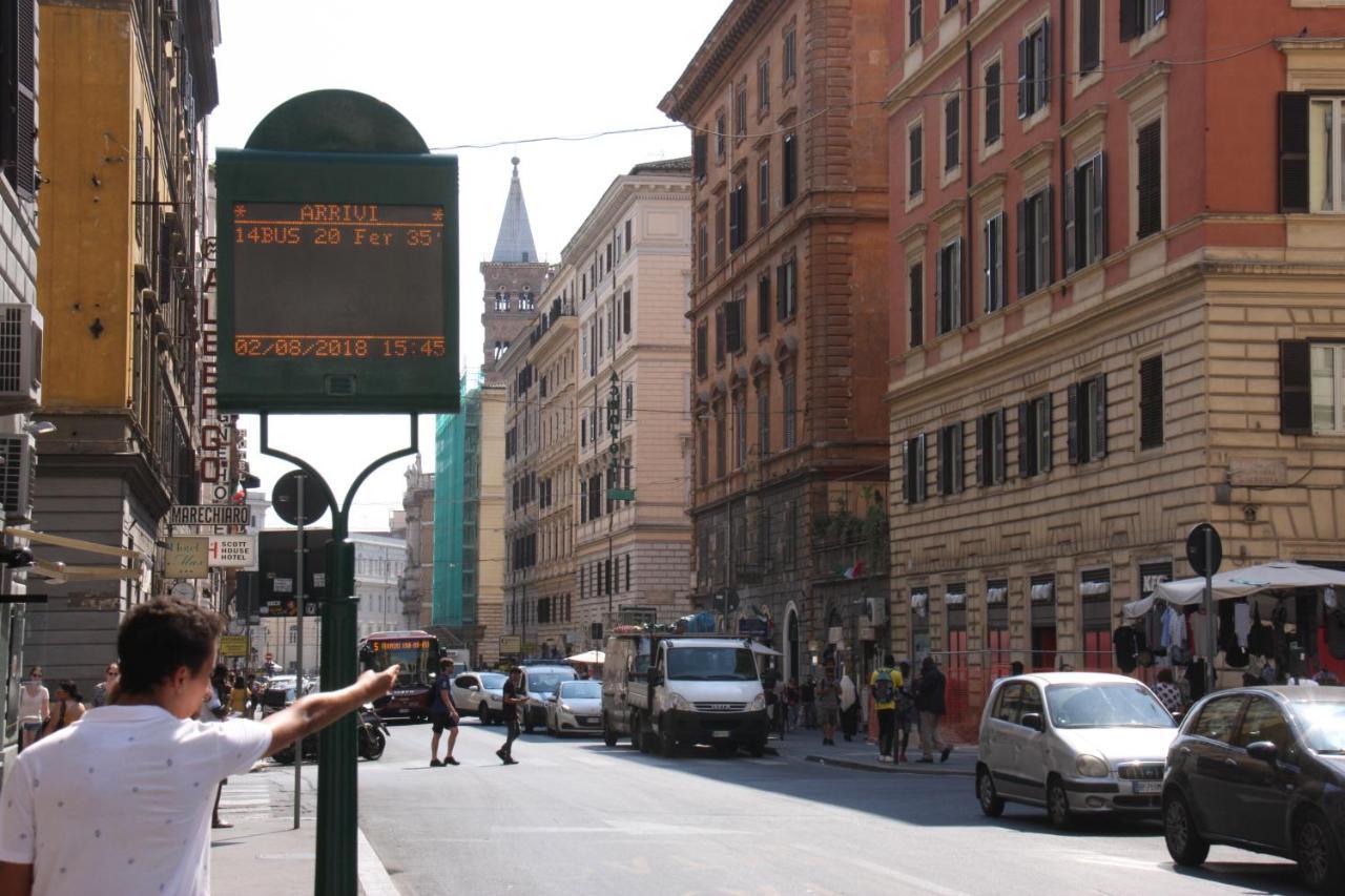 Sweet Dream Termini