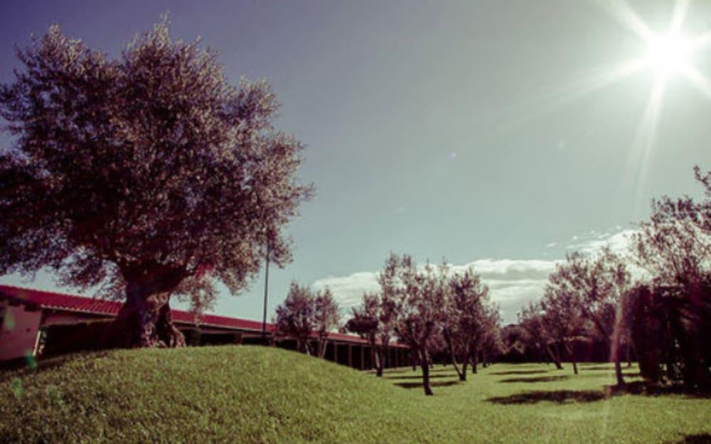 Ways Garden & Leisure Hotell Roma