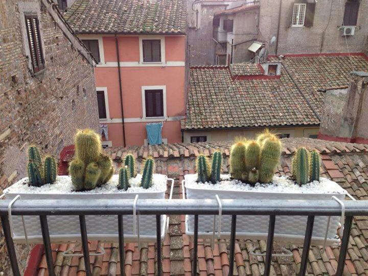 Campo Dei Fiori Funny Flat Appartamento *